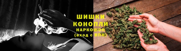 дживик Богородск