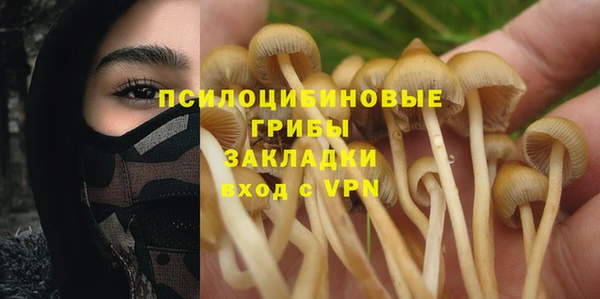 дживик Богородск