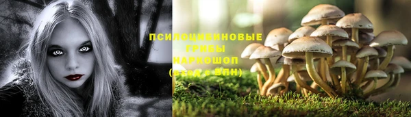 марки nbome Богданович