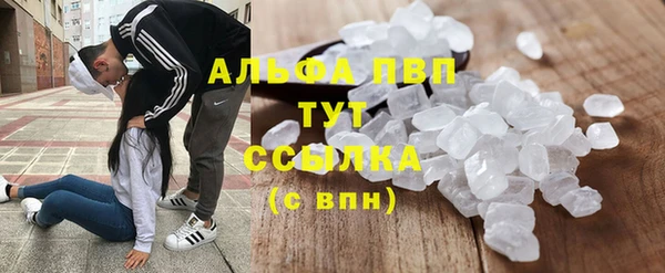 круглые Белокуриха