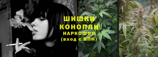 дживик Богородск