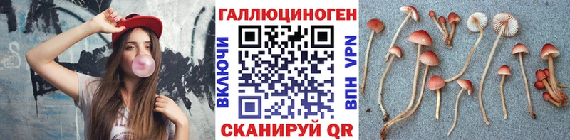 Купить  Новоульяновск  Псилоцибиновые грибы ЛСД 